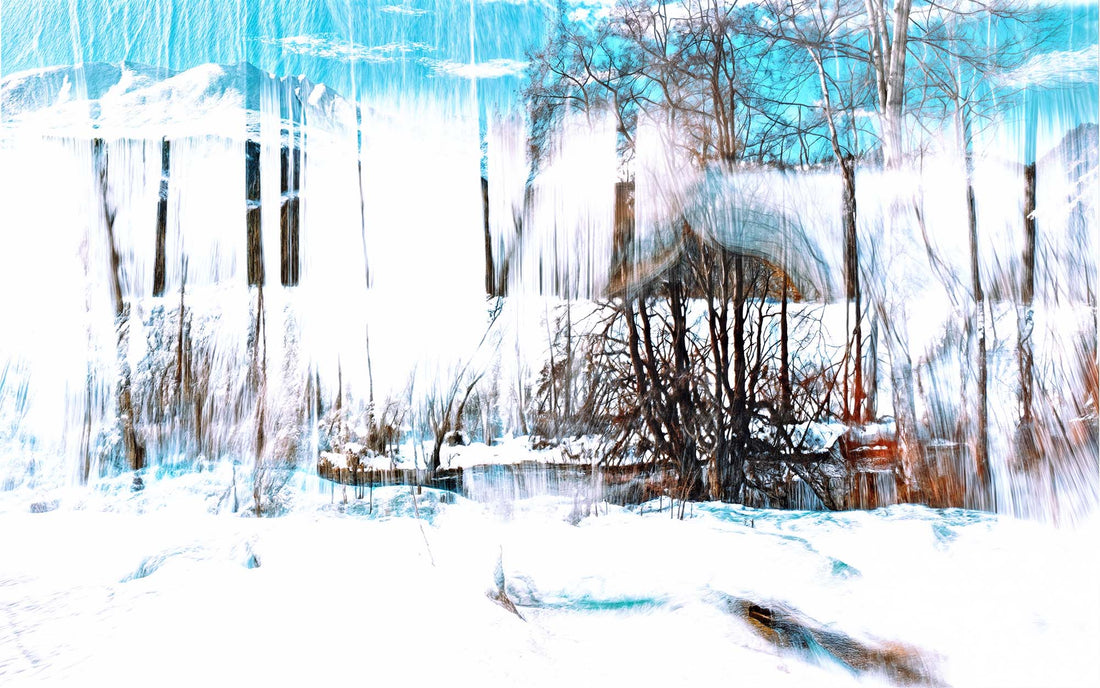 Main image La Forêt qui chante la neige
