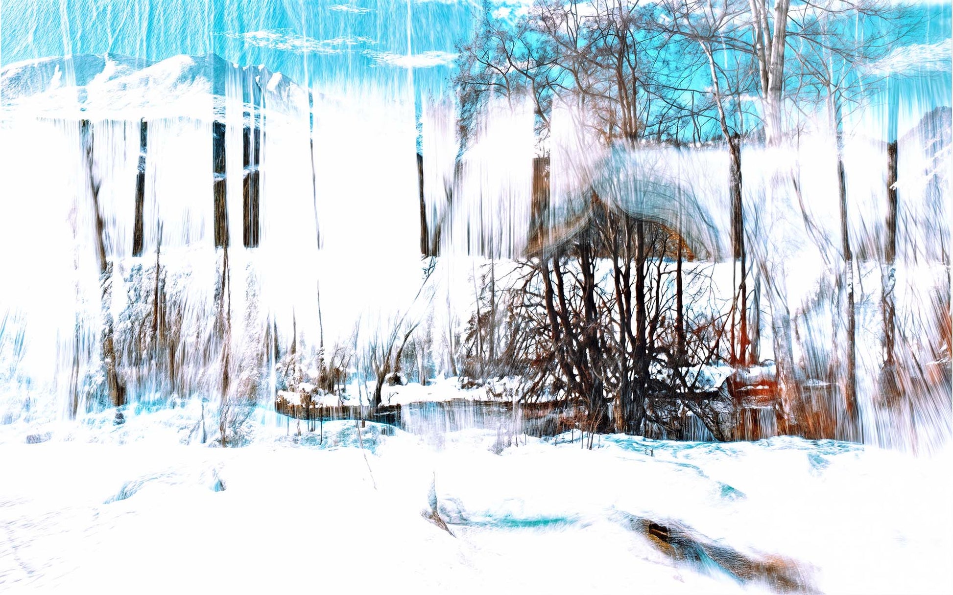 La Forêt qui chante la neige