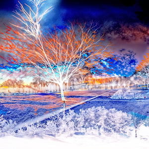 Main image L’arbre qui se souvenait de tous les ciels