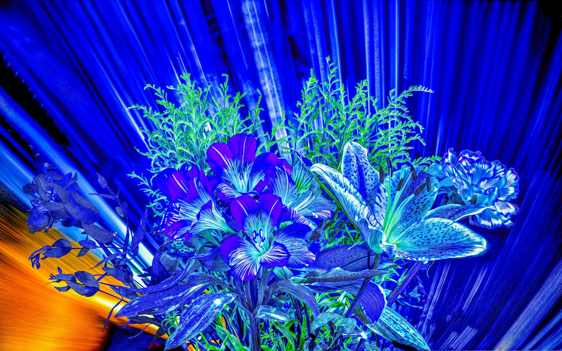Main image Floraisons dans le vent lumineux