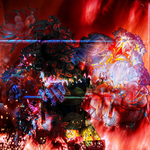 Main image L’étreinte des pétales ardents