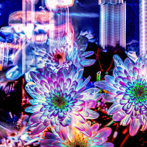 Main image Murmure floral suspendu entre deux éclairs