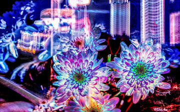 Main image Murmure floral suspendu entre deux éclairs