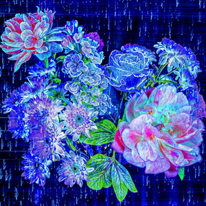 Main image Floraisons au cœur du code stellaire