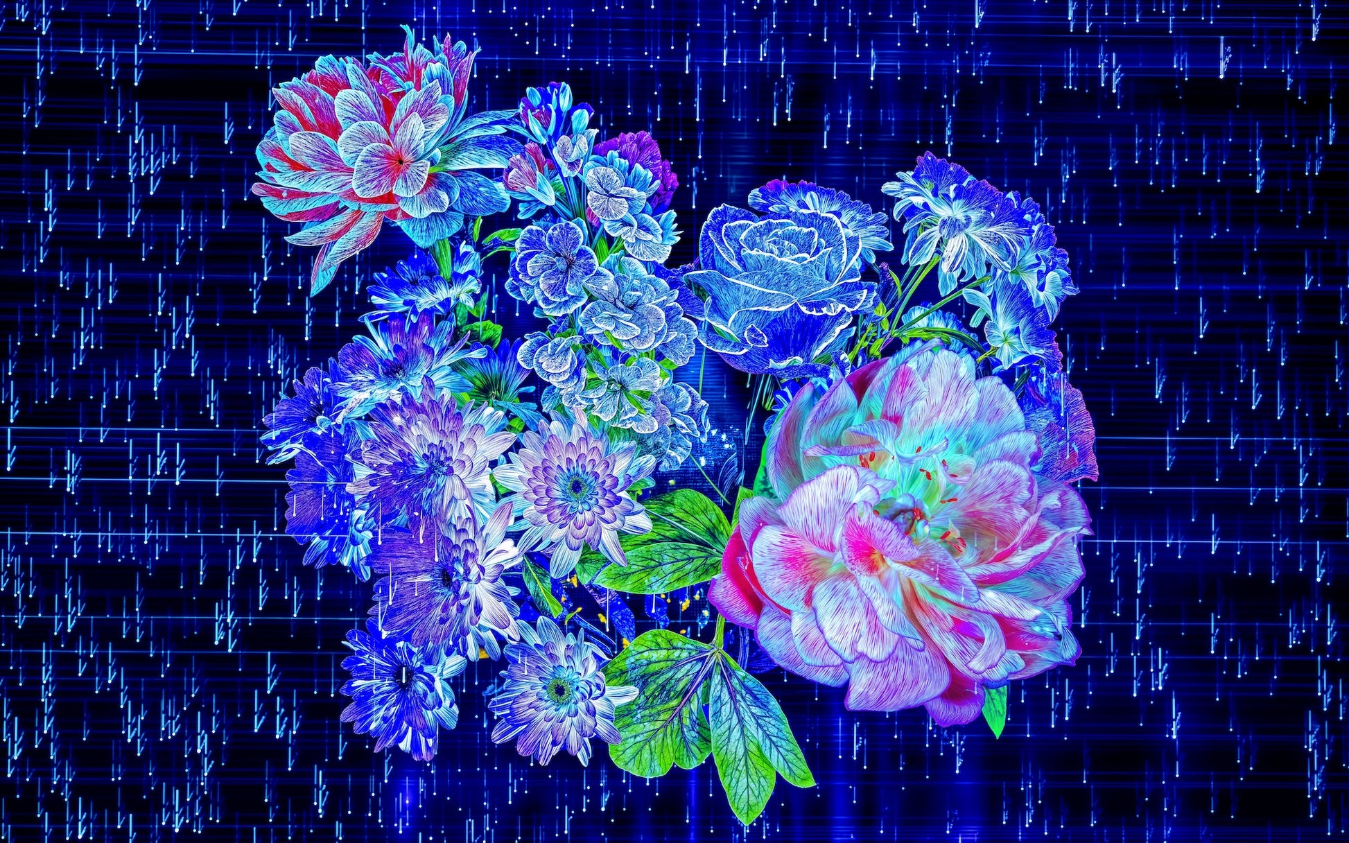 Floraisons au cœur du code stellaire