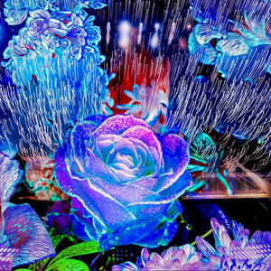 Main image Lorsque la lumière se souvient des fleurs