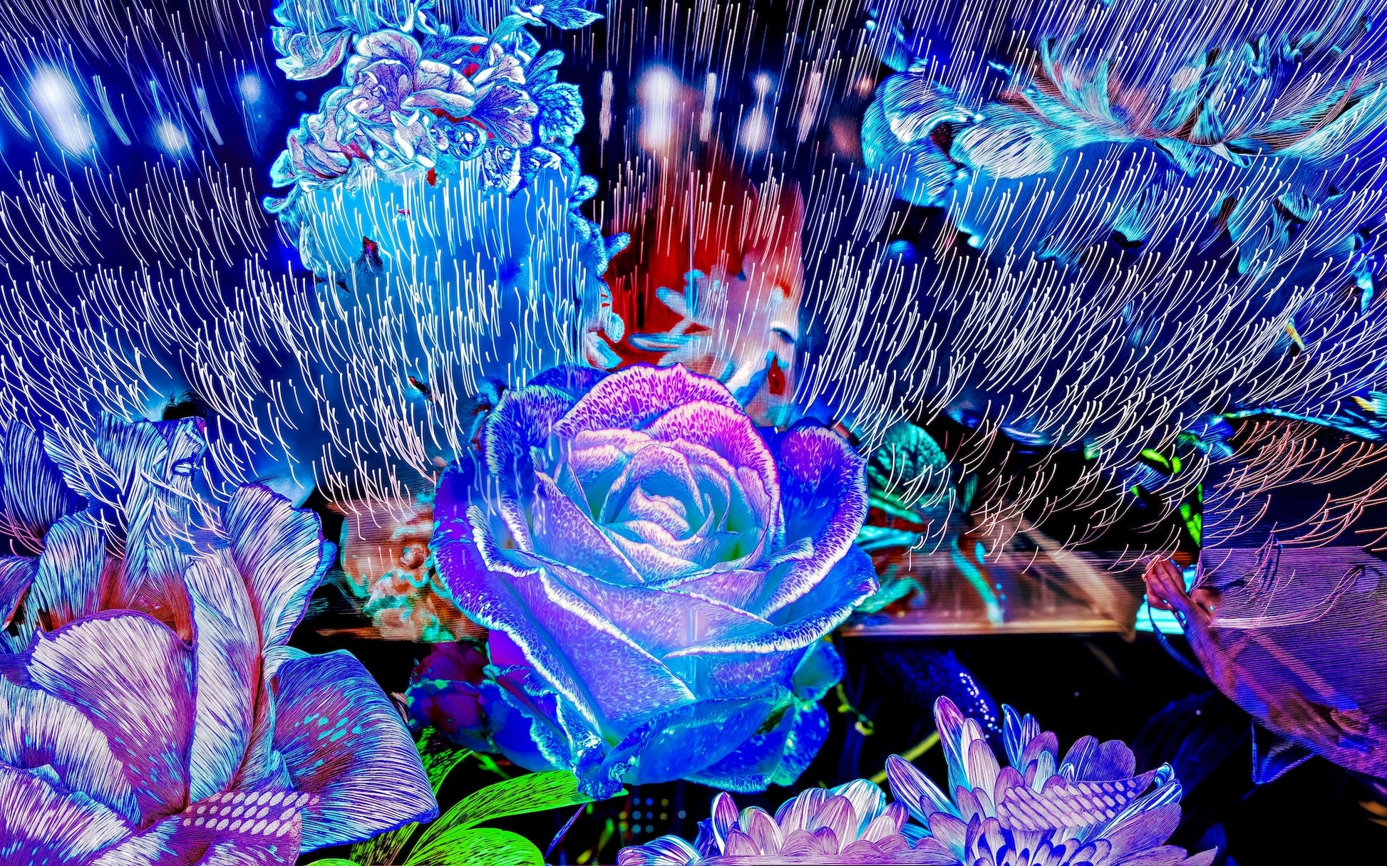 Main image Lorsque la lumière se souvient des fleurs