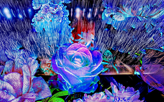 Main image Lorsque la lumière se souvient des fleurs