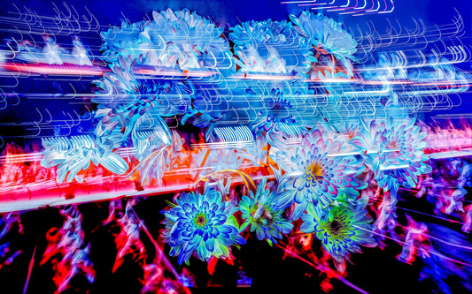 Main image Éclosions dans les courants de matière douce