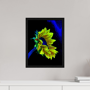 30 x 40 cm, Caisse américaine Noire L’or perdu dans le bleu du silence