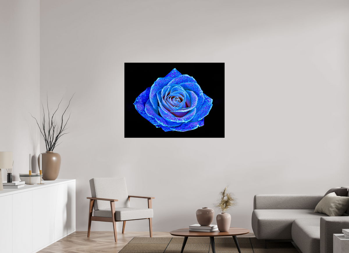 120 x 90 cm, Tirage simple sur papier photo Fuji Crystal Pearl La Rose aux mille constellations