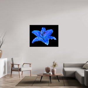 120 x 90 cm, Caisse américaine Noire Le Lys Astral