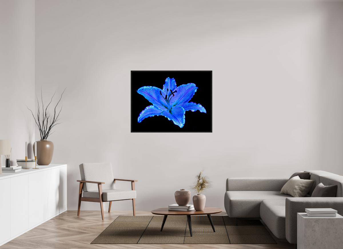 120 x 90 cm, Caisse américaine Noire Le Lys Astral
