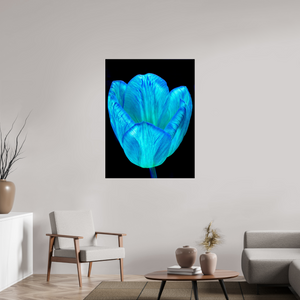 90 x 120 cm, Tirage photo sous Verre acrylique Calice de lumière