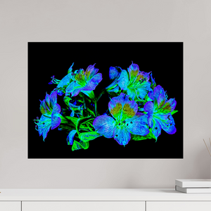 60 x 45 cm, Tirage photo contrecollé sur Dibond Constellation Florale