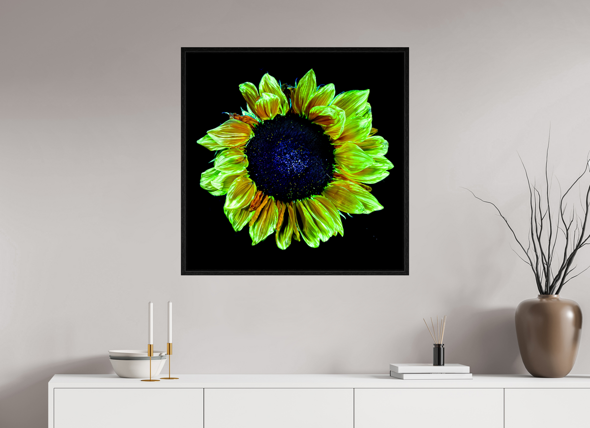 80 x 80 cm, Caisse américaine Noire Couronne de lumière