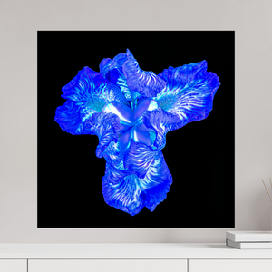 60 x 60 cm, Tirage simple sur papier photo Fuji Crystal Pearl Iris du Cœur Lumineux