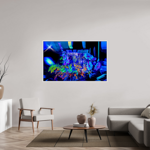 160 x 100 cm, 9 Caisse américaine Blanche Le bouquet où nos rêves s’illuminent
