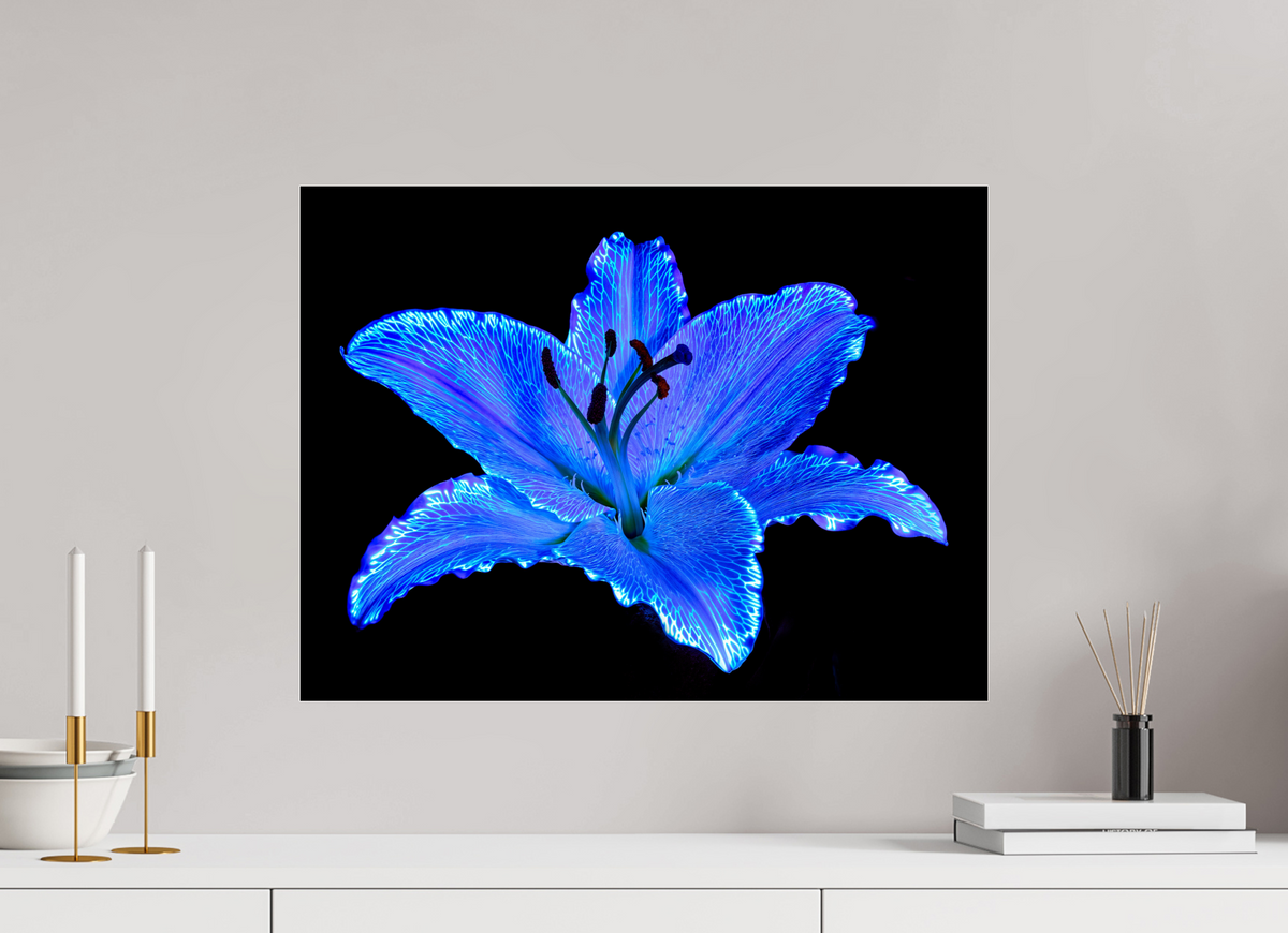 60 x 45 cm, Tirage photo sous Verre acrylique Le Lys Astral
