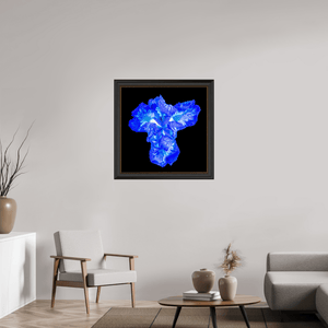 Iris du Cœur Lumineux - Idealart
