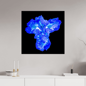 Iris du Cœur Lumineux - Idealart