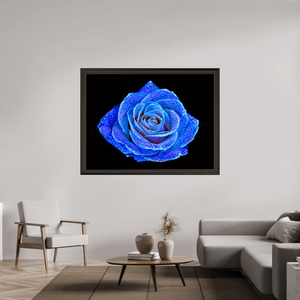 La Rose aux mille constellations - Idealart