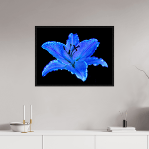 Le Lys Astral - Idealart