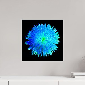 L’Astre Bleu - Idealart