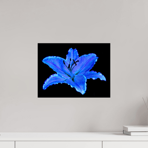 Le Lys Astral - Idealart