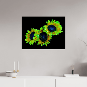Les gardiens du jour endormi - Idealart