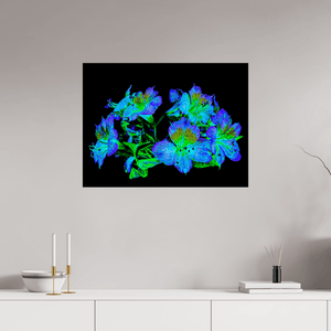 Constellation Florale - Idealart
