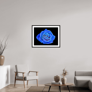 La Rose aux mille constellations - Idealart