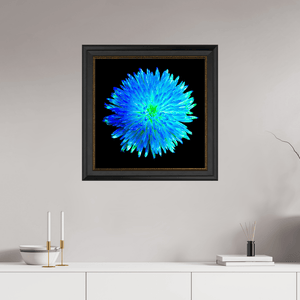 L’Astre Bleu - Idealart