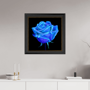 La Rose qui Rêvait le Ciel - Idealart