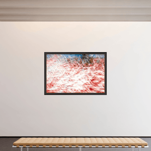 La mer des plumes rouges - Idealart