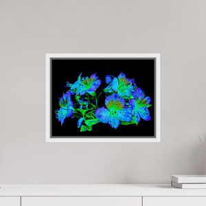 Constellation Florale - Idealart