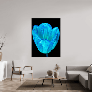 Calice de lumière - Idealart