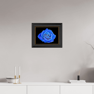 La Rose aux mille constellations - Idealart