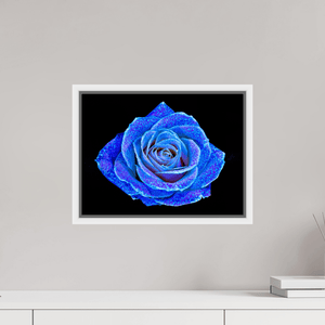 La Rose aux mille constellations - Idealart