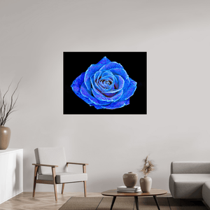 La Rose aux mille constellations - Idealart