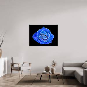 La Rose aux mille constellations - Idealart