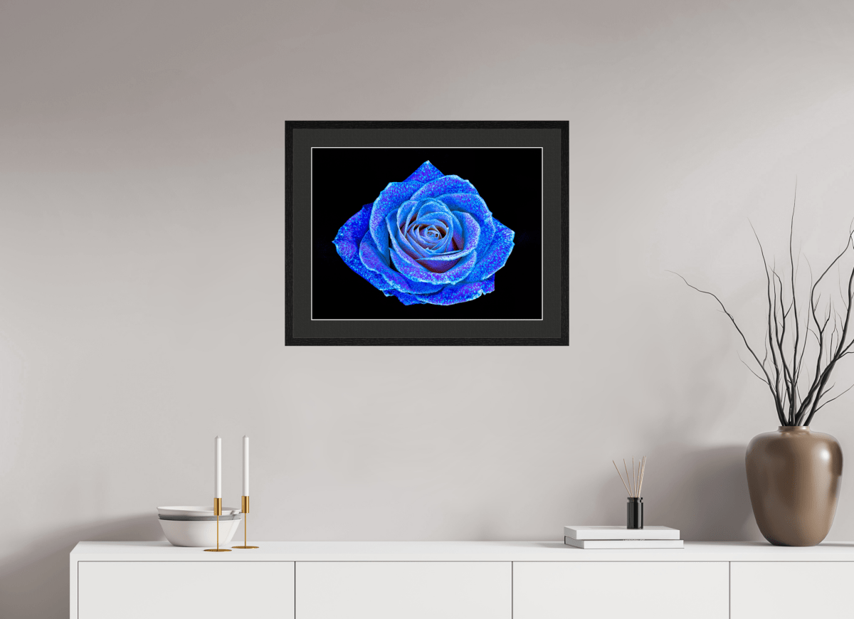 La Rose aux mille constellations - Idealart