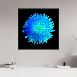 L’Astre Bleu - Idealart