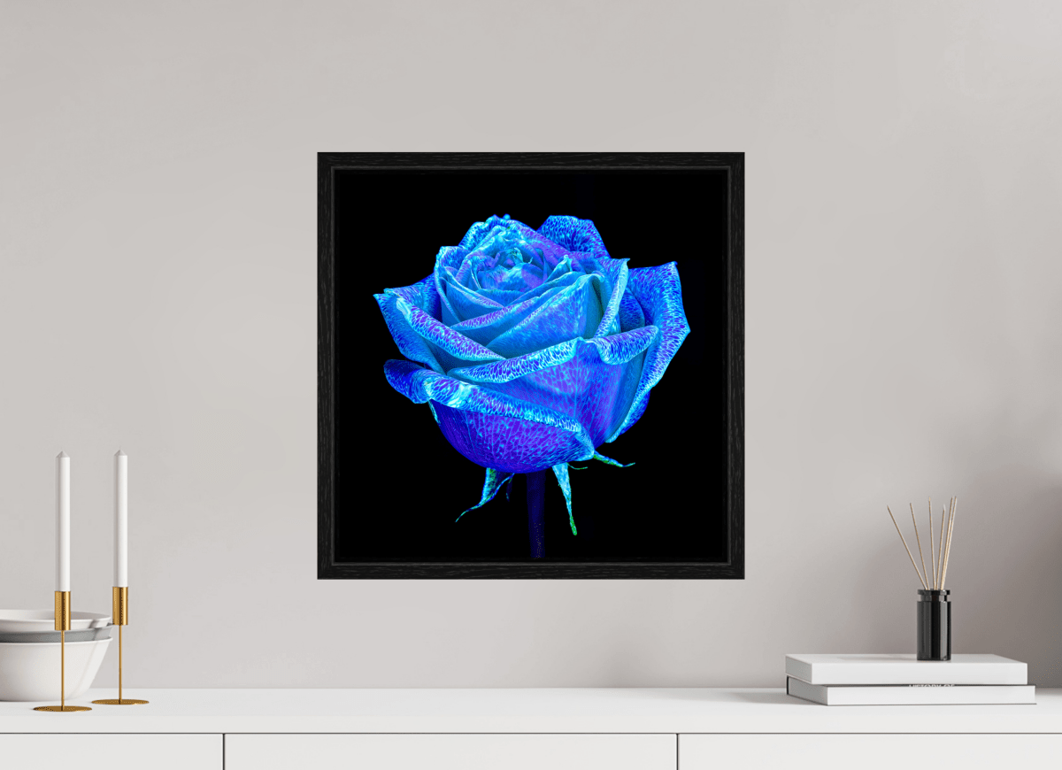 La Rose qui Rêvait le Ciel - Idealart