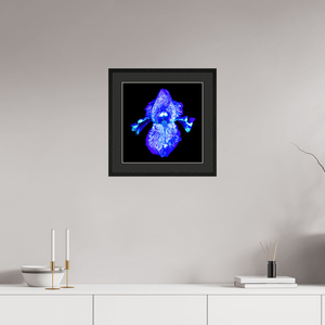 Iris des Profondeurs Lumineuses - Idealart