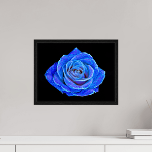 La Rose aux mille constellations - Idealart