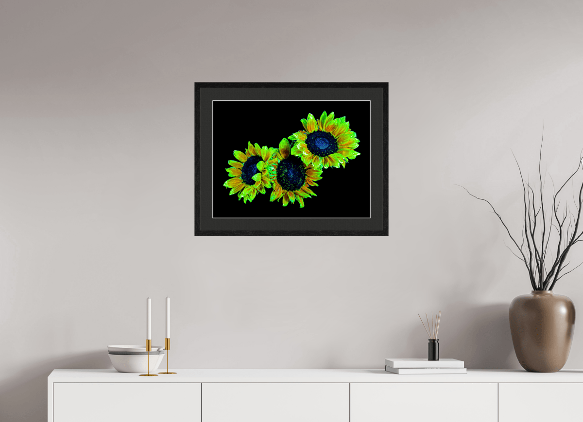 Les gardiens du jour endormi - Idealart