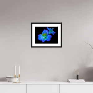 Alstroemeria des Lueurs Cachées - Idealart