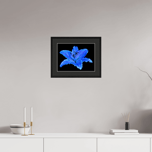 Le Lys Astral - Idealart