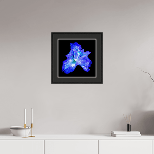 L’Opale des Ombres - Idealart